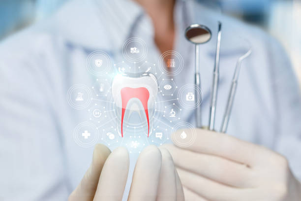 Westlake Village, IL  Holistic Dental Services Company